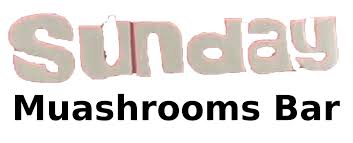 Sunday Chocolate Bar